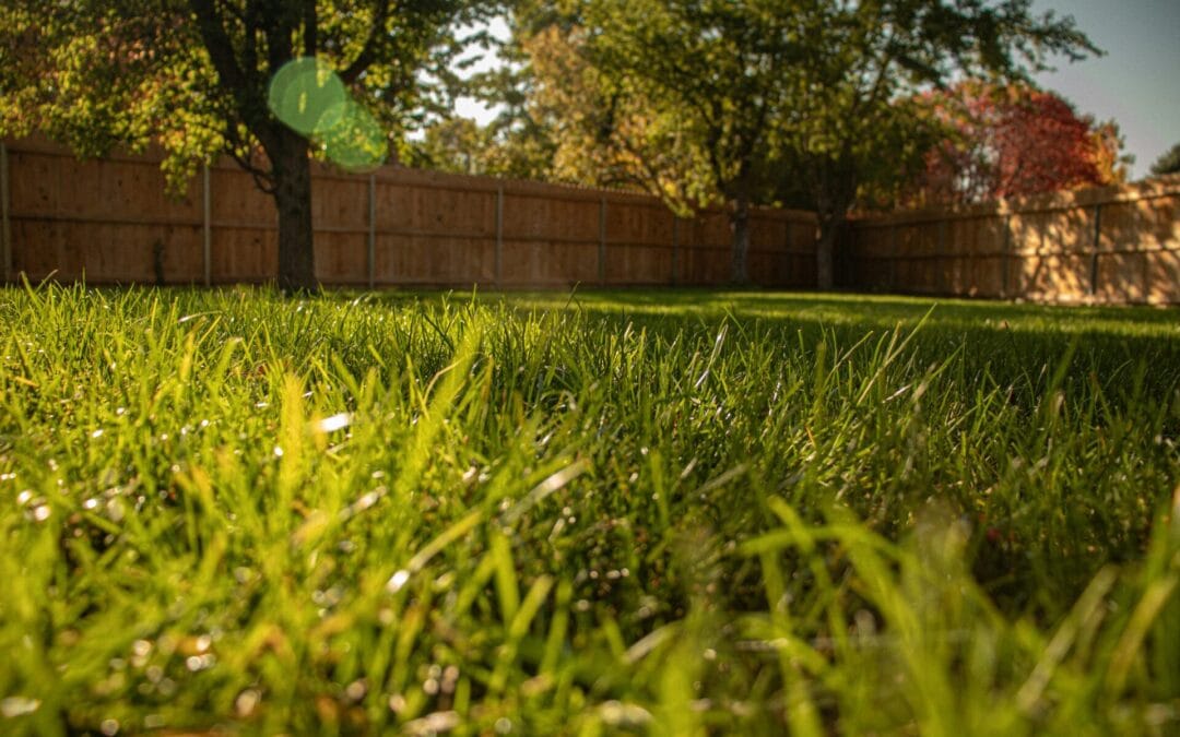 Yard debris