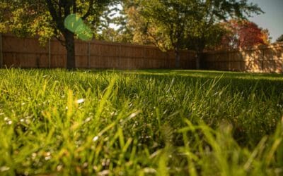 How to Remove Yard Debris in Kennesaw, GA: A Complete Guide for Homeowners